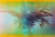 b36_21_2_3.jpg