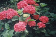 b36_25_2_net.jpg