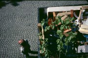 bergen489.jpg