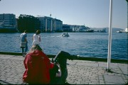 bergen490.jpg