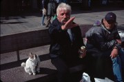 bergen528.jpg bergen528.jpg