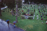 bergen592.jpg