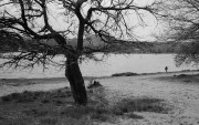 crop0018.jpg