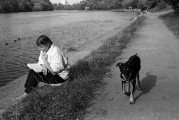 dog_4.jpg