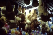 img053.jpg