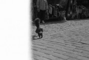 img8204.jpg