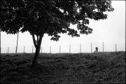 pan400_June_D76_107.jpg