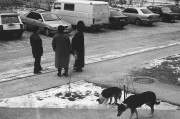 people_dogs.jpg