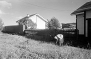 scan0023_2-01.jpeg