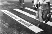 zL2030.jpg