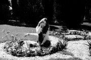 1_124.jpg