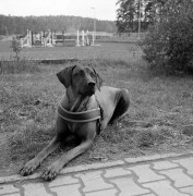 20170506-Zeiss_Tmax400_Tmax_E_2017-05-05_4_008-2.jpg