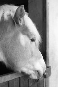 20171203-M6_A125_160_Ilsosol3-1_14_N_027.jpg 20171203-M6_A125_160_Ilsosol3-1_14_N_027.jpg