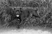 2506_S2N50_Foma400_033_web.jpg
