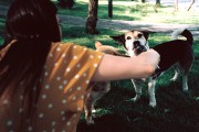 R1-02480-0012.jpg R1-02480-0012.jpg