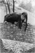 file_444.jpg