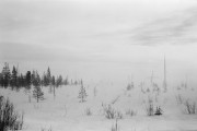 04-small.jpg