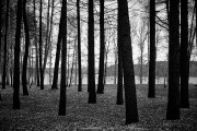 07_171028_7375_L960.jpg