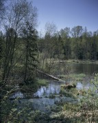 0805-03.jpg