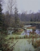 0811-01.jpg
