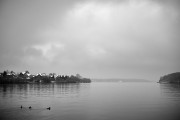 09_171028_7408_L960.jpg
