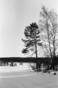 12-23.jpg