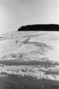 19-93.jpg