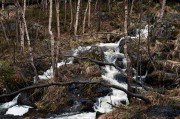 2-27.jpg 2-27.jpg