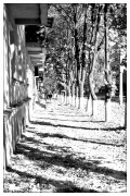 20-alley-bw.jpg