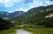 20180803-Oly35SP_Provia50_VS_N_2018-07-10-0012.jpg 20180803-Oly35SP_Provia50_VS_N_2018-07-10-0012.jpg