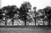 20181016-M7_A125N_Rodinal_1_25_8_min_summarit50_28mm_VS_N_2018-10-15-0035.jpg