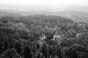 2019-04-07-000046420003.jpg