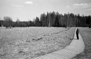 20190421-M6_Lux35_TriX_HC110E_VS_N_1_2019-04-21-0018.jpg