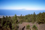 20190904-M6_28_35_Velvia_als100_VS_N_1_2019-08-31-0002.jpg