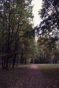 2020-10-17-0028.jpg 2020-10-17-0028.jpg