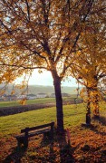 20201101-M6_Cron35_Ektar_C41selbst_Rotation_VS_N_1_2020-11-01-0036.jpg