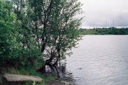 21477.jpg
