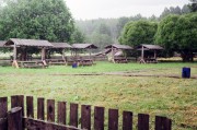 21515.jpg 21515.jpg