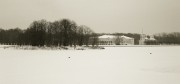 22210006_hf.jpg