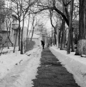 31221.jpg 31221.jpg
