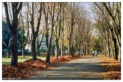 36A_0038_web.jpg