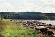 4034.jpg