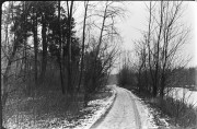 4L5C2398.jpg
