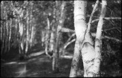 7_V_19_foma-400_M5_003.jpg 7_V_19_foma-400_M5_003.jpg