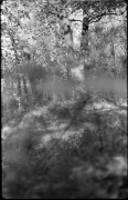 7_V_19_foma-400_M5_005.jpg 7_V_19_foma-400_M5_005.jpg