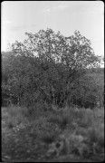 7_V_19_foma-400_M5_006.jpg 7_V_19_foma-400_M5_006.jpg