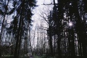 A935180-R1-34-35A.jpeg