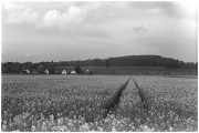 Bad-Nenndorf-rollei15-copy.jpg