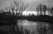 Bessa-Helomar-20151119-004.jpg