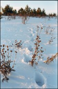 IMG01610.jpg IMG01610.jpg
